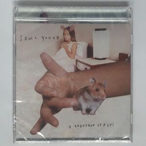 Sonic Youth – A Thousand Leaves – Compact Disc, CD, Reissue, Geffen Records NEW